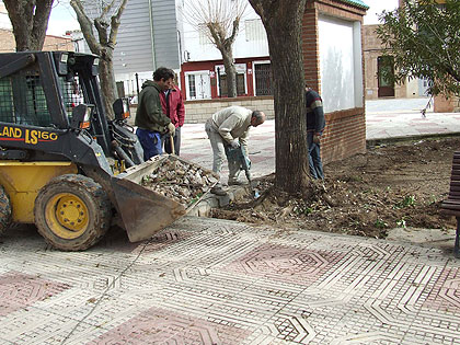 El Ayuntamiento va a cuadruplicar el n&uacute;mero de &aacute;rboles en el Parque Municipal
