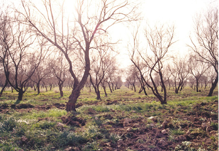 Parque de la Vega